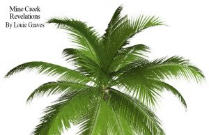 Can Opener Bad, Bad: Now must mop floor for second time this year