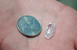 Park visitor from Colorado finds 8.52-carat white diamond at Arkansas’s Crater of Diamonds State Park