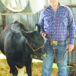 Dalton with show calf