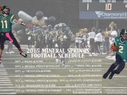 2015 Mineral Springs Hornet Football
