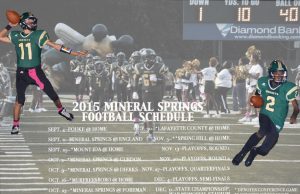 2015 Mineral Springs Hornet Football