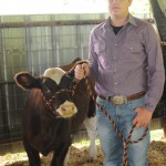 dillon w show calf