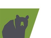 Former teller admits $14K theft from bank