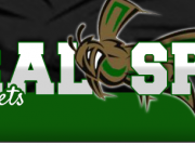 New school building may be in works at Mineral Springs