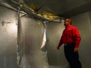 New grocery store’s opening pushed back after utility pole crushes freezer