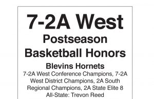 Class 7-2A West Postseason Basketball Honors