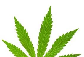 Hope man arrested with load of ‘pot’