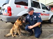 Retired K-9 officer dies at age 10