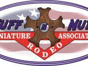 ‘Mini rodeo’ added to this year’s Pine Tree Festival