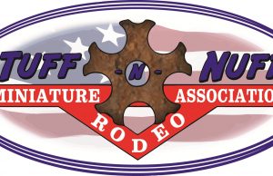 ‘Mini rodeo’ added to this year’s Pine Tree Festival