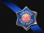 Pearcy man dies in Pike County wreck