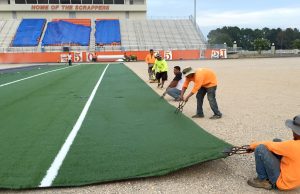 Installation of Scrapper Stadium turf underway