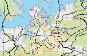 Forest Service project cause of alarm for LOViT friends