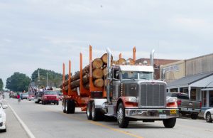 Scenes from the 44th Annual Dierks Pine Tree Festival