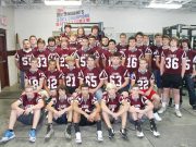 Lions getting bigger, faster, stronger for 2016 season