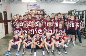 Lions getting bigger, faster, stronger for 2016 season