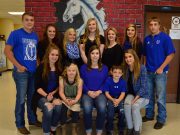 2016 Dierks Homecoming Court
