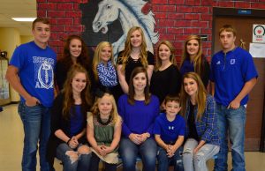 2016 Dierks Homecoming Court