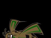 Hornets rally to defeat Bears in season finale