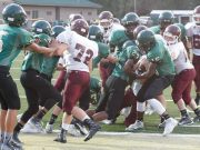 Junior Hornets sting Junior Lions