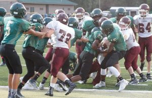 Junior Hornets sting Junior Lions