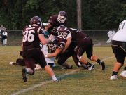 Lions need big second half to defeat Hornets