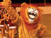 Mount Ida wins battle of the Lions