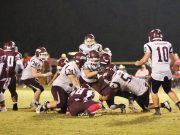 Lions grapple victory from Gators