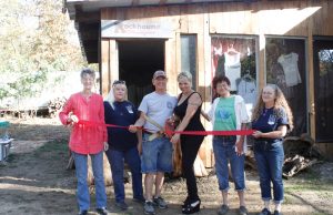 Boutique offers variety to rock collectors