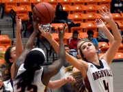 Home season for basketball opens with wins