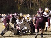 Lions run their way past Hornets on way to finals