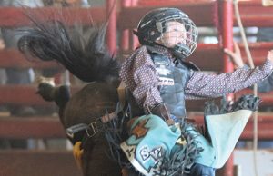Local bronc rider earns spot in national finals