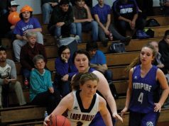 Lady Timberwolves crown night with win