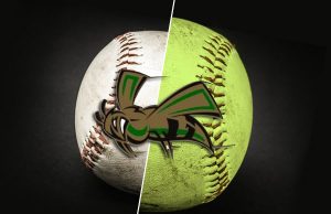 Mineral Springs Hornets pick up first win of season