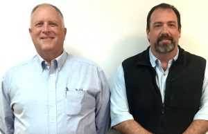 Promotions made at Diamond Bank