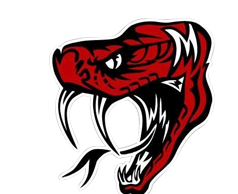 Rattler coach search narrowed