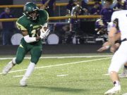 Mineral Springs Hornets hang tough with Panthers