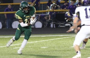 Mineral Springs Hornets hang tough with Panthers