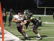 Mount Ida Lions roll past Mineral Springs Hornets to keep perfect record intact