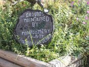 Master Gardeners to celebrate 29 years of service in Arkansas