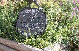 Master Gardeners to celebrate 29 years of service in Arkansas