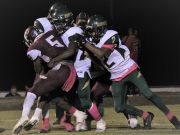 Run-heavy Foreman Gators drop Mineral Springs Hornets