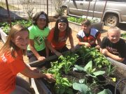 Nashville Elementary Garden Lab is planting seeds in students’ lives