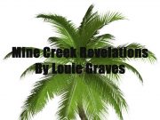 Mine Creek Revelations by Louie Graves: Your resolutions