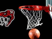 Rattler basketball camp May 24-26