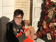 Six-day search pays off when rescuers locate pet lost after vehicle accident
