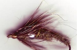 Little Mo’ Fly Fishing Festival Feb. 16-18 at Murfreesboro
