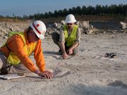 UofA digitally preserves local dinosaur tracks