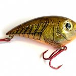 big-bass-square-864-1465193821777