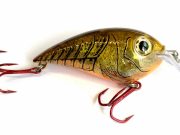 Pike County benefit bass tournament March 5